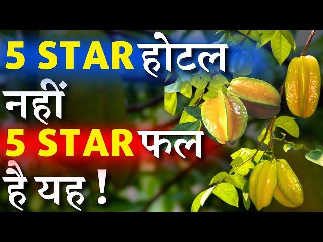 5-STAR होटल नहीं - 5-STAR फल है यह || 5 Star Fruit !! Star Fruit / Kamrakh Plant