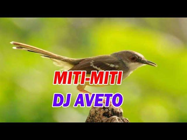 Lagu Nias Miti miti Dj Aveto