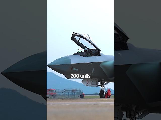 China Stolen Stealth Aircraft Is Worse Than We Thought?