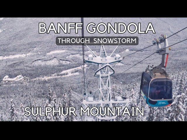 Banff Gondola: Exploring Through Snowstorm| Banff National Park #banffnationalpark #alberta  #canada