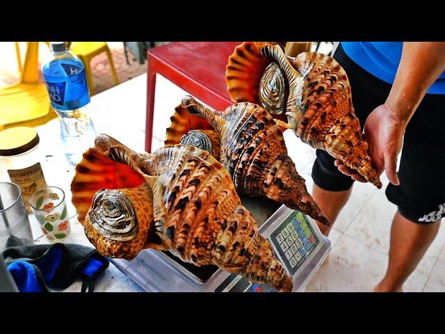 Vietnamese Street Food - GIANT ALIEN CONCH Seafood Vietnam