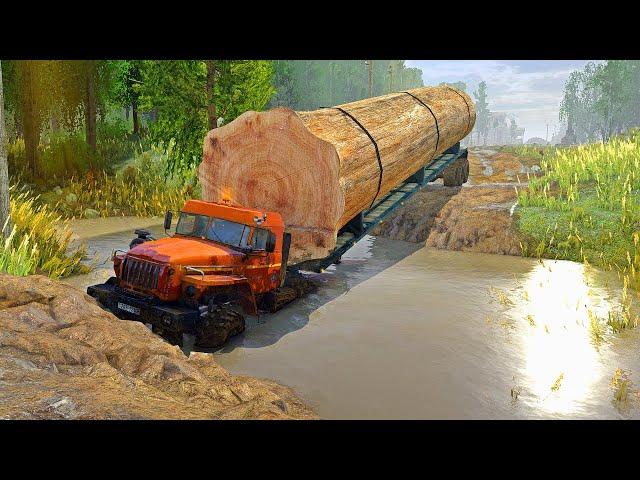 heavy logging on the most dangerous roads in the world