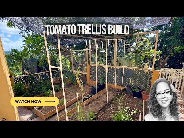 Building A Tomato Trellis & Repairing & Refurbishing My Greenhouse | Progress 40