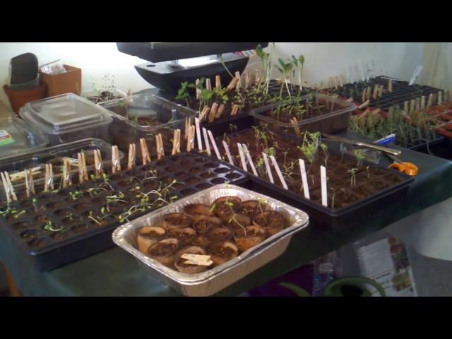 JuicingGardener.com - New Organic Gardening & Juicing and Smoothie Channel!