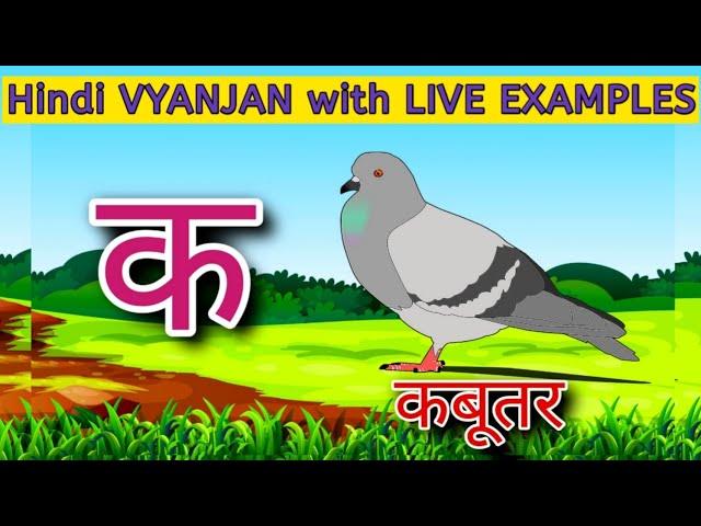 Hindi VYANJAN with LIVE Examples | क से कबूतर |  Hindi Vyanjan | WATRstar