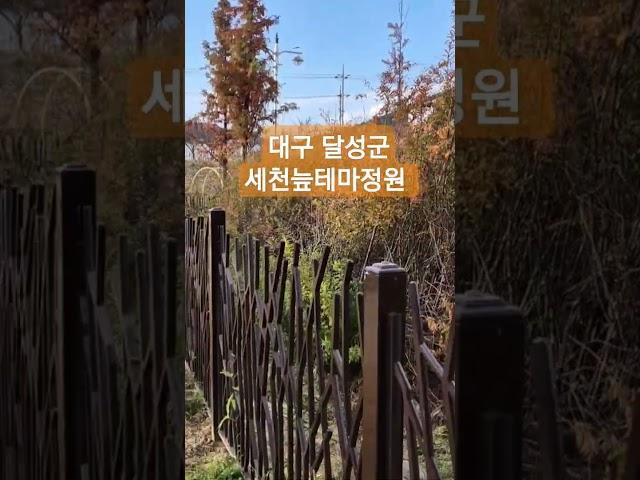 #대구가볼만한곳 #세천늪테마정원