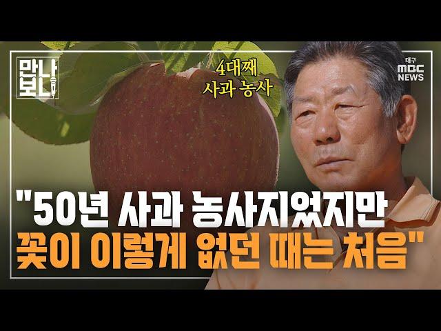 "50년 사과 농사지었지만···꽃이 이렇게 없던 때는 처음" | 만나보니