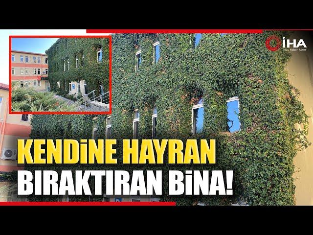 Bu Bina Görenleri Kendine Hayran Bırakıyor