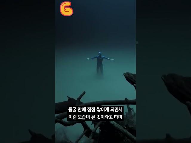 바다속 또다른 바다..?