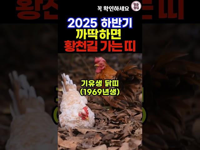 하반기 갑작스럽게 황천길 갈 수 있는 조심해야하는 띠 #띠별운세 #2025년운세