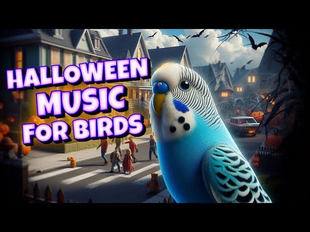 Halloween Music for Your Bird  | Budgie Parakeet Lovebird & Cockatiel Sounds