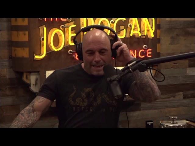 Joe Rogan Cuts Podcast Guest Says Something Personal About Tim Dillon