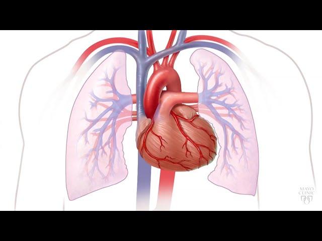 Mayo Clinic Minute: What is heart disease?