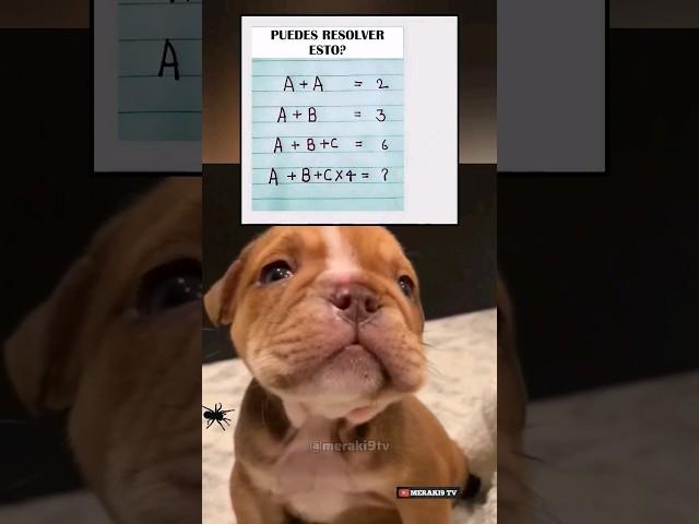 Solo para Inteligentes  | PIENSA RÁPIDO! ⏰️