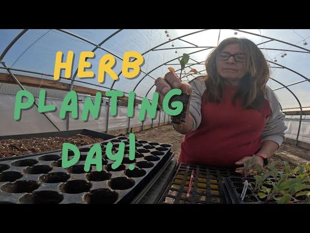 Planting A Lot Of Herbs Today!