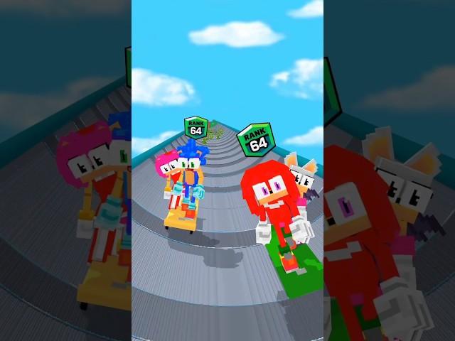 Skate Master Run: Sonic and Amy Vs Knuckles and Rouge