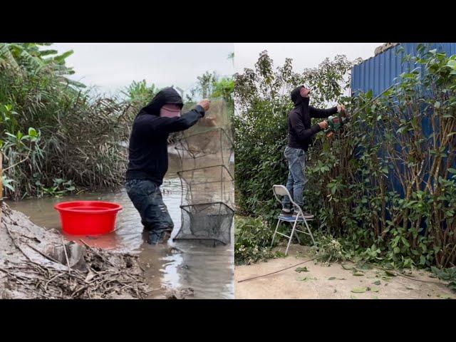 Clean up trim your home hedge & experience a day of shrimp net fishing with us – it's truly exciting
