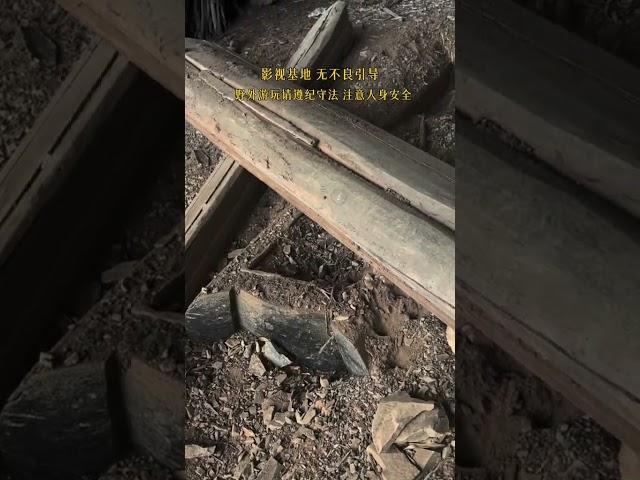 路边一废弃影视基地，用料绝对真材实料，#百年老石器民俗老物件 #户外 #徒步 #历史古迹 #文物