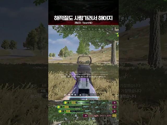 해적질도 사람가려서 해야지[TeamND] PUBG Montage│배그 매드무비