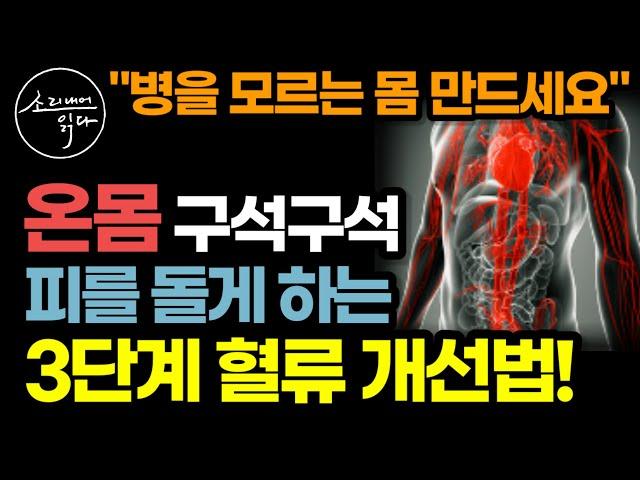 '이걸' 꾸준히 하시면, 혈류가 좋아져 통증에서 암까지 병을 모르는 몸 만들 수 있습니다! / 혈액을 만들고 늘리고 순환시키는 식사, 수면, 운동법 / 책읽어주는여자 건강 오디오북