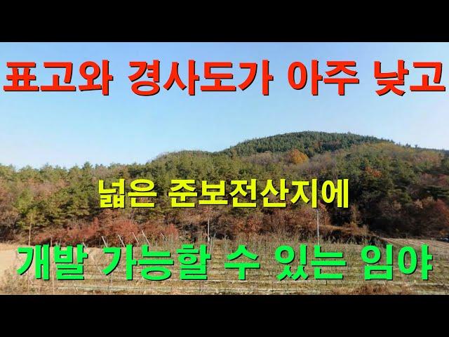 [1163][임야매매][땅매매] 넓은 준보전산지에 표고와 경사도가 아주 낮아 개발 행위도 가능할 수 있는 임야 입니다.