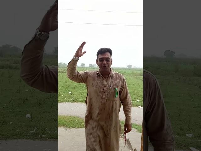 Heavy Rain