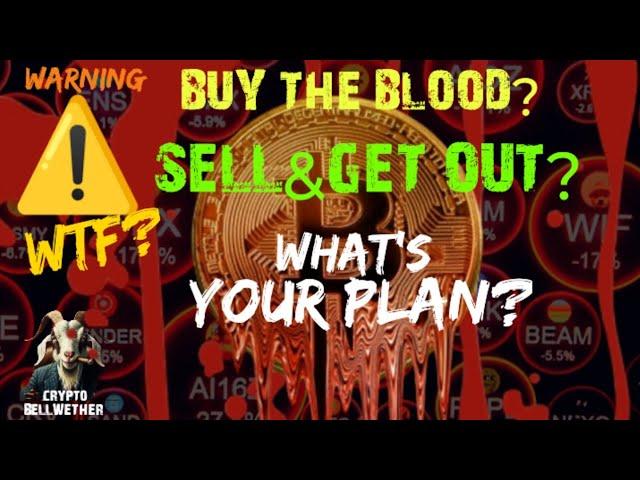 You need a Strategy to save your Crypto Account! - I'm Bullish as F#CK - Time to buy Altcoins?