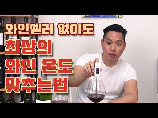 [와미남] 와인셀러 없이 와인을 최상의 온도로 만드는 방법은? 와인이 상온일 때랑 냉장고에서 꺼냈을 때 적정 온도로 만드는 방법 + 실제 실험