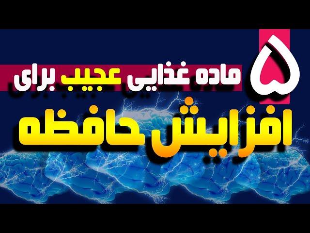 مواد غذایی مفید برای افزایش حافظه و قدرت مغز