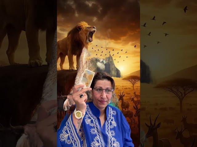 قراءة للجميع رسايل للجميع مشاهدين مكبسين رسايل ادخل لعه هناك رسالة لك؟ انت لست صدفه هنا🫸️