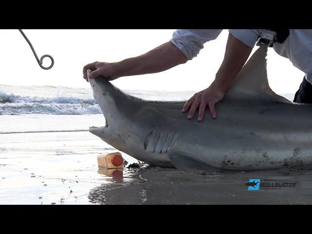 On the Jetties with Blacktips and Jacks