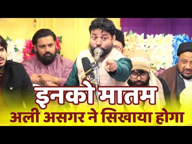 Matam | मातम के हवाले से ज़बरदस्त कलाम | Maulana Sharar Naqvi | मातम क्या है | Ali Day | 13 Rajab