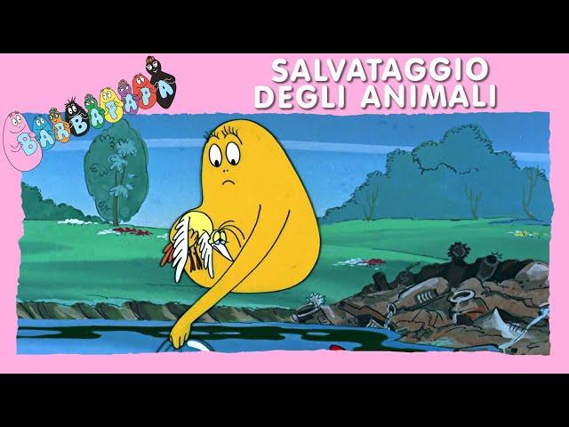 Barbapapà EP31: Salvataggio degli animali - EPISODIO COMPLETO (italiano)