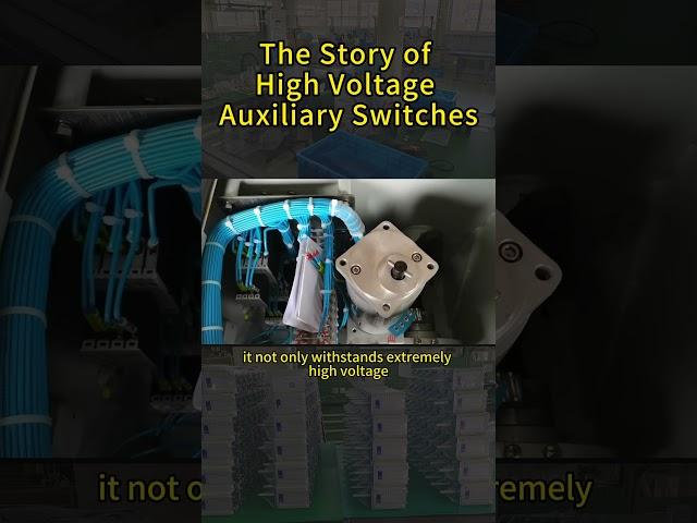 The Story of High Voltage Auxiliary Switches！