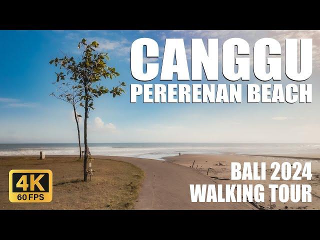 BALI 4K Beach Walk | Pererenan to Canggu Walking Tour