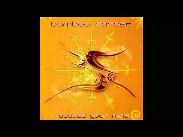 Bamboo Forest - Andromeda