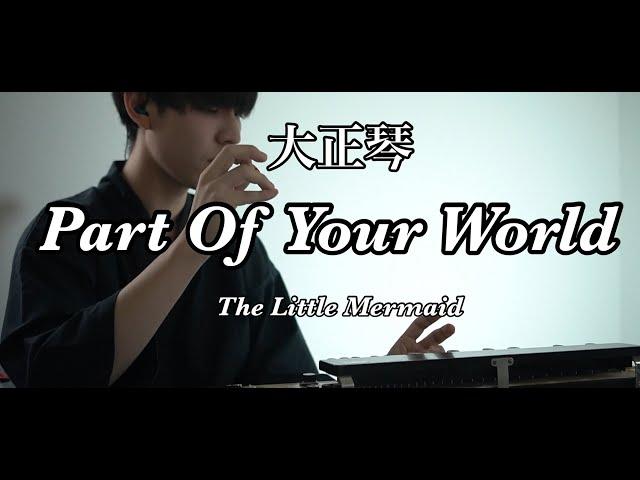 【Part Of Your World】大正琴/Taisho-koto／Japanese traditional instruments