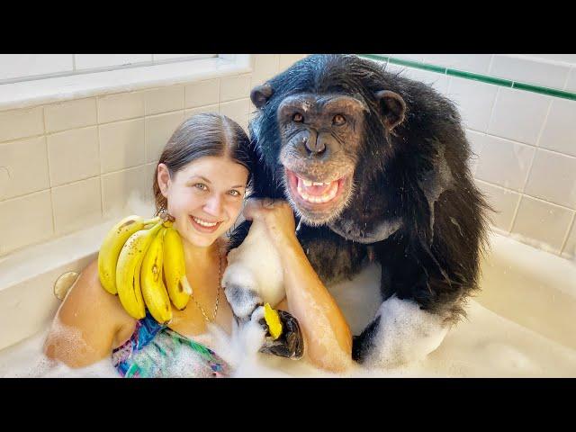 BUBBLE BATH with VALI the CHIMP !