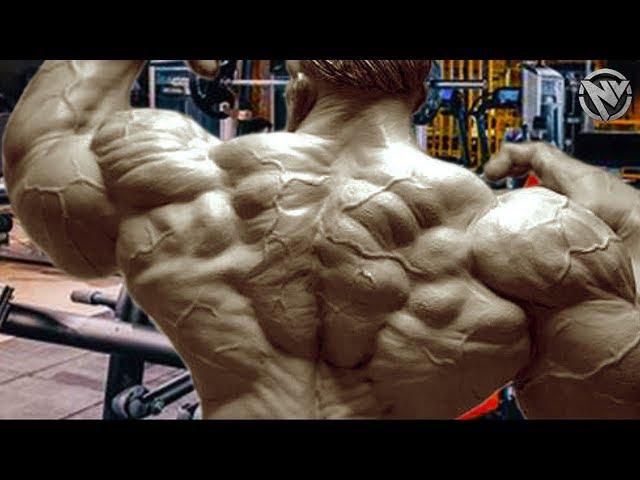 BACK DAY - BEST PREWORKOUT MOTIVATION 