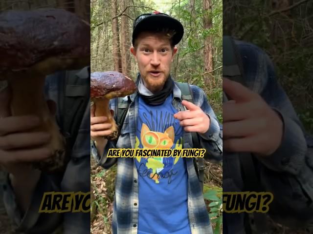 Are You Fascinated By Fungi: Wet Squishy Mushroom Compilation