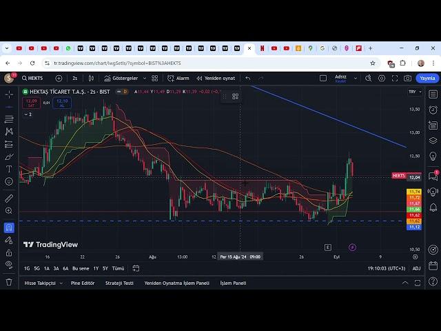 HEKTAS KISA DEGERLENDIRME...HEKTS 12,09 ▲ +4 22% 2024 07 03 21 04 05