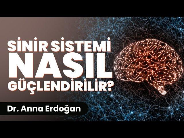 Sinir Sistemi Nasıl Güçlenir | Kişisel Gelişim Videoları