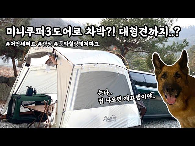 왕개랑 코딱지만한 미니쿠퍼로 차박하기 #문막힐링레저파크