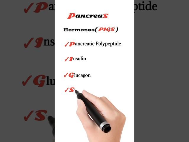 pancreatic hormones | hormones secreted by pancreas