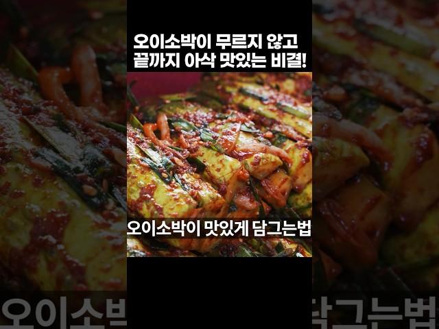 끝까지 아삭 무르지 않는 오이소박이 맛있게 담그는법 절이는법 양념 비법까지 싹! 오이소박이 황금레시피