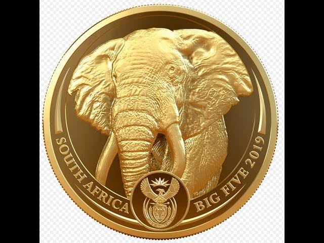 2019 South Africa Big Five Elephant 50 Rand - 1 OZ Gold Proof Coin-(Spectacular)