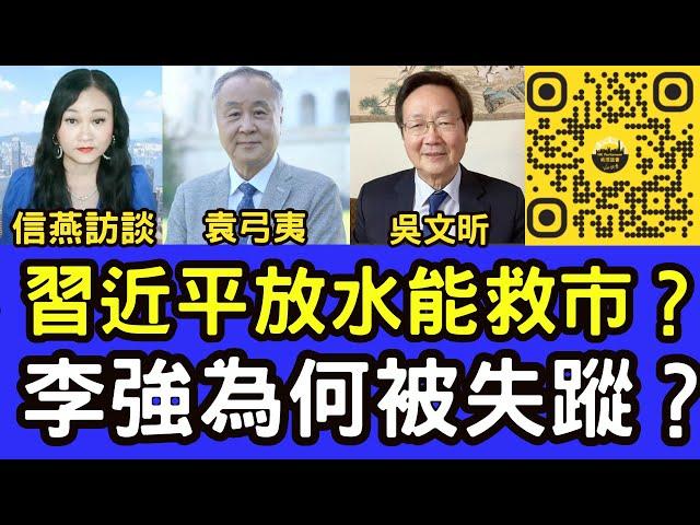 袁弓夷吳文昕直播：習放水一萬億能救市？李強為何被失蹤？香港議會選舉之去共保港第37集 #信燕訪談 #袁弓夷 #吳文昕 #習近平 20240926