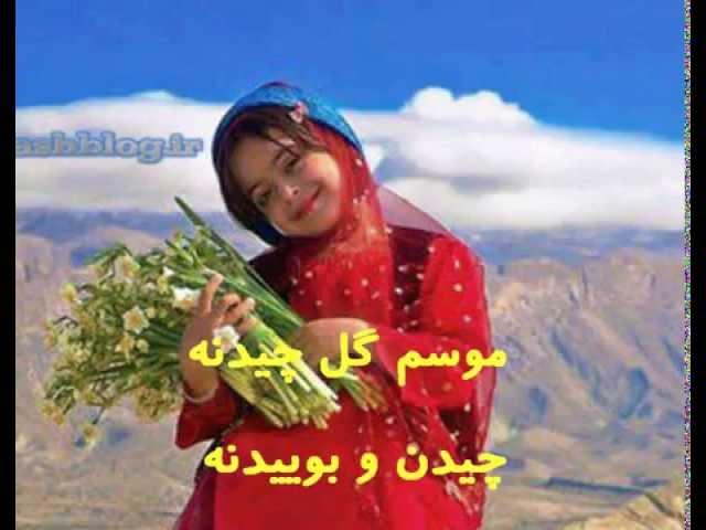 بهار شیراز ـ صمد عقاب