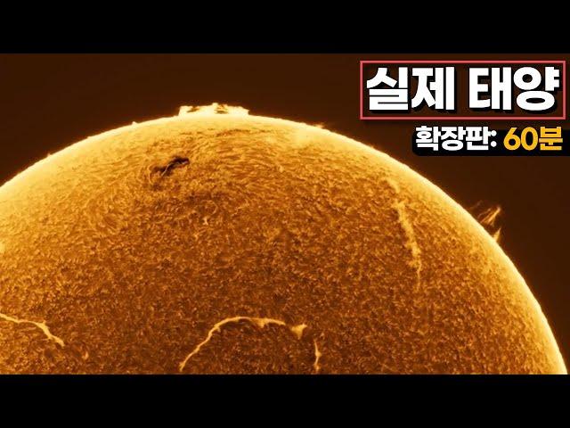 What the Sun actually looks like (full version: 60 minutes)