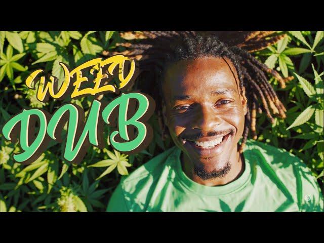 WEED DUB mix  NEW DUB REGGAE MIX  best dub reggae mix 2025